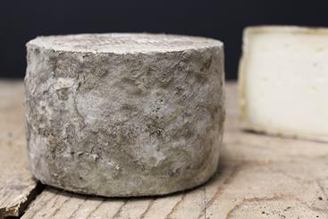 Tommette de Brebis